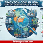 zingyzon com in usa